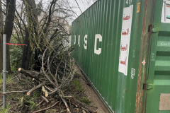 Live-Oak-CA-95953-image_67522561